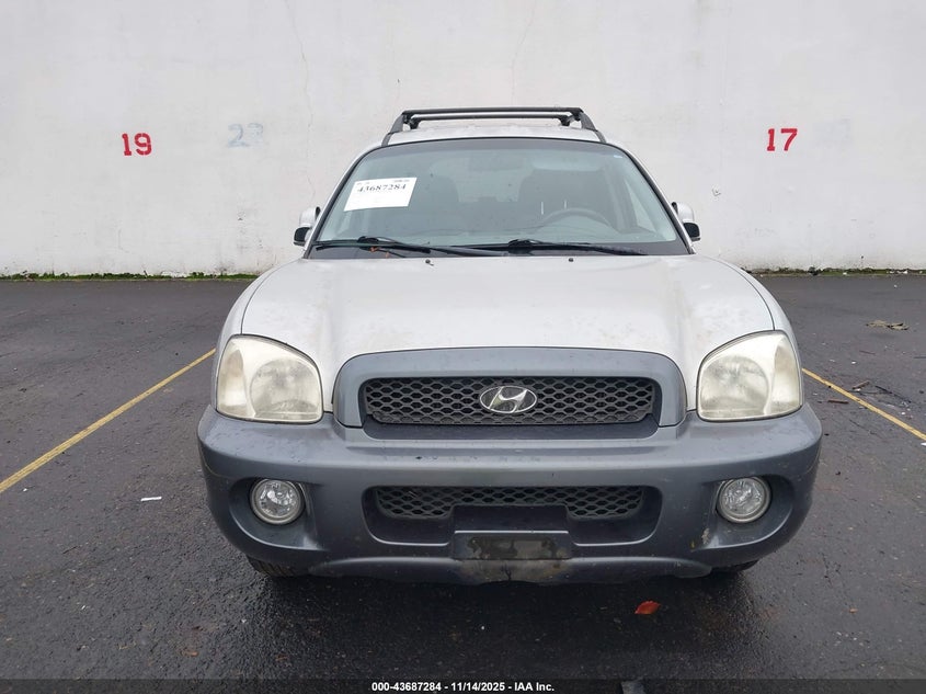 KM8SC73D93U362179 2003 HYUNDAI SANTA FE photo no. 6