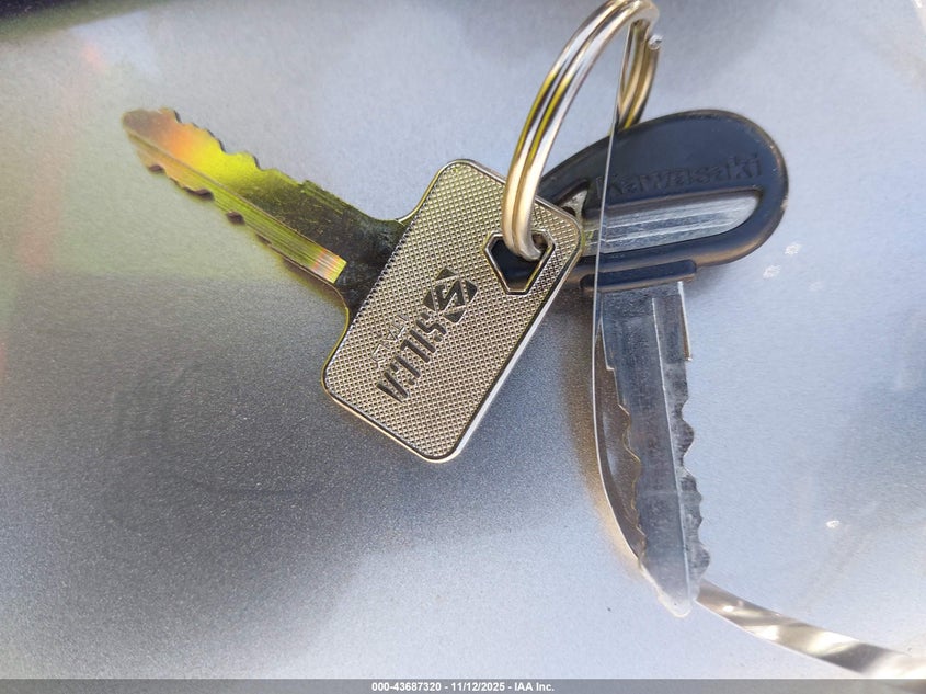 2013 Kawasaki Vn1700 A VIN: JKBVNRA19DA012642 Lot: 43687320