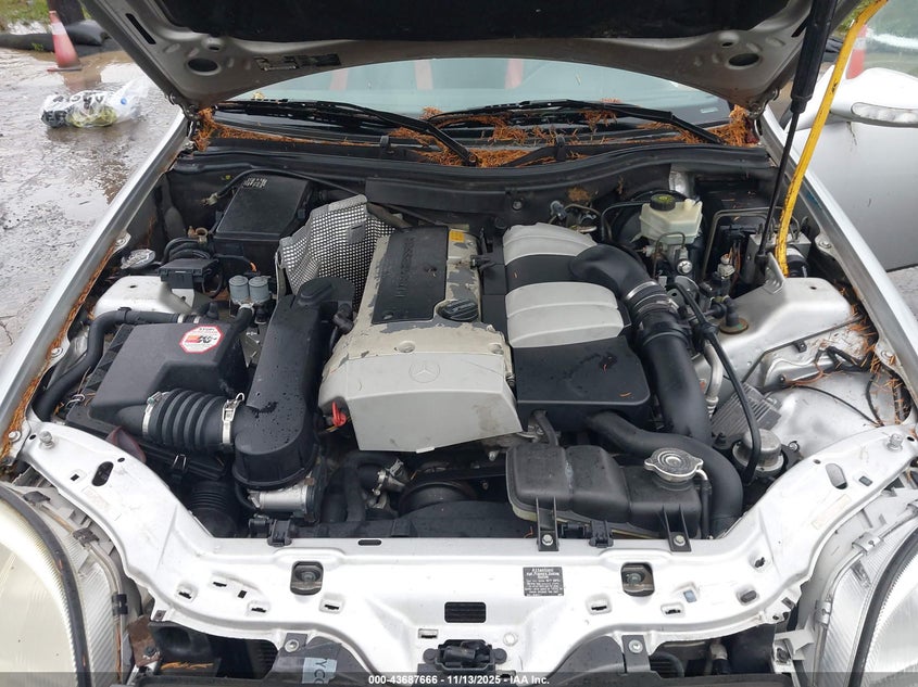 2001 Mercedes-Benz Slk 230 Kompressor VIN: WDBKK49F91F193795 Lot: 43687666