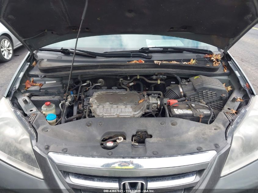 2007 Honda Odyssey Ex-L VIN: 5FNRL38617B451975 Lot: 43687821