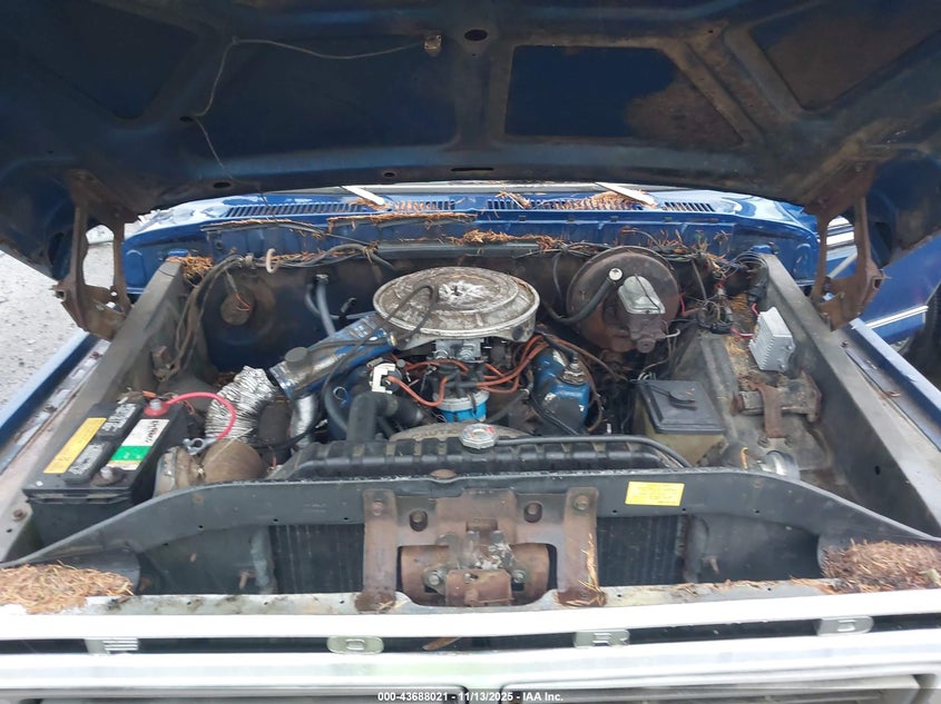 1977 Ford F250 VIN: F25SRY03250 Lot: 43688021