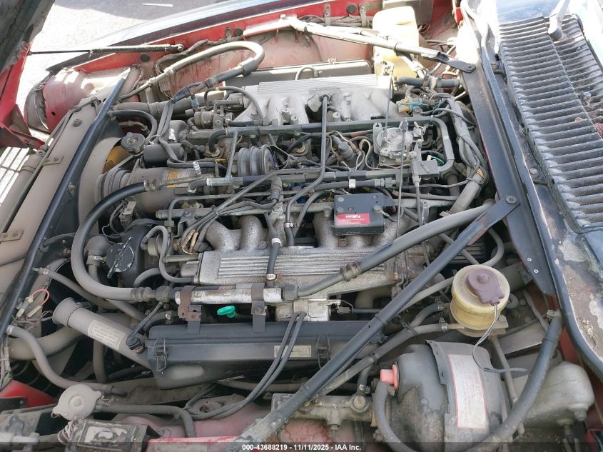 1986 Jaguar Xjs VIN: SAJNV5841GC132254 Lot: 43688219