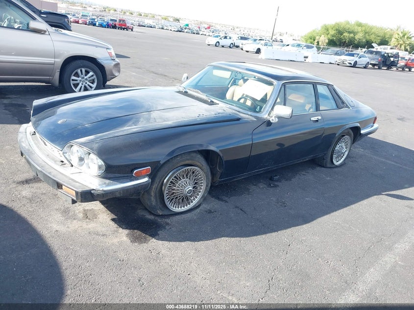 1986 Jaguar Xjs VIN: SAJNV5841GC132254 Lot: 43688219