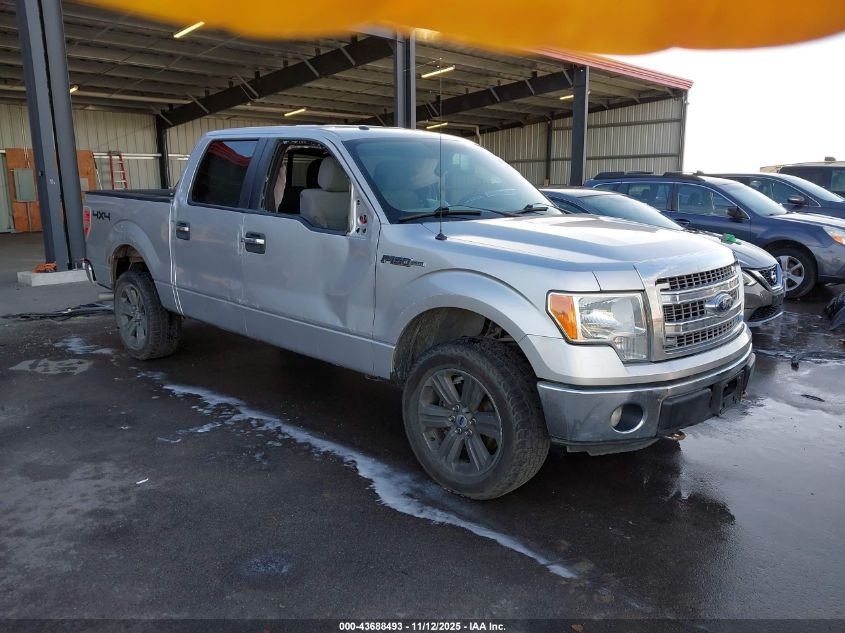 FORD F-150 XLT