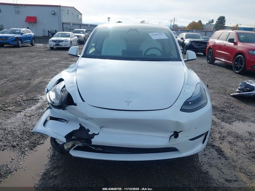 2024 Tesla Model Y Performance Dual Motor All-Wheel Drive VIN: 7SAYGDEF5RA267491 Lot: 43688755