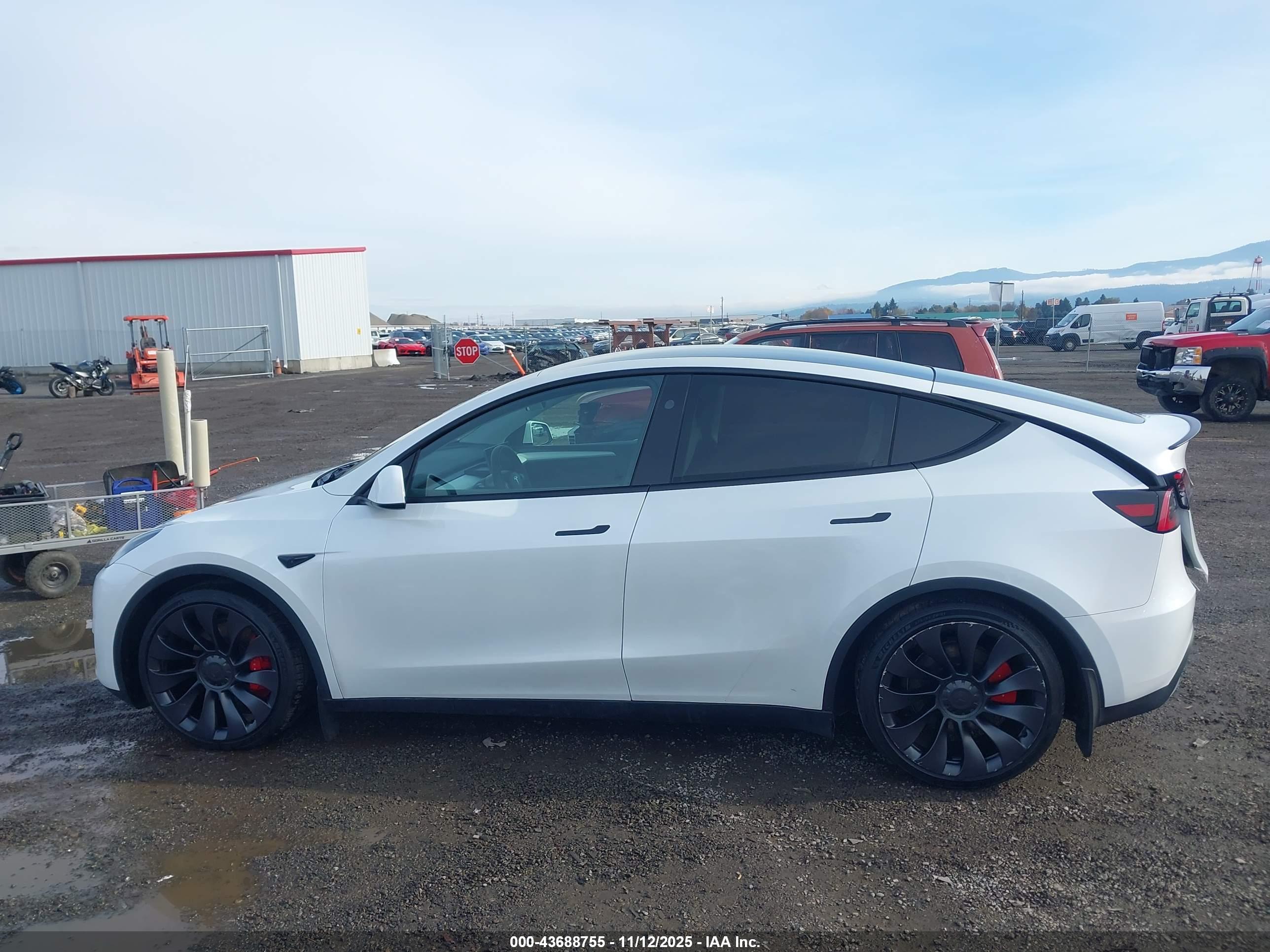 2024 Tesla Model Y Performance Dual Motor All-Wheel Drive VIN: 7SAYGDEF5RA267491 Lot: 43688755