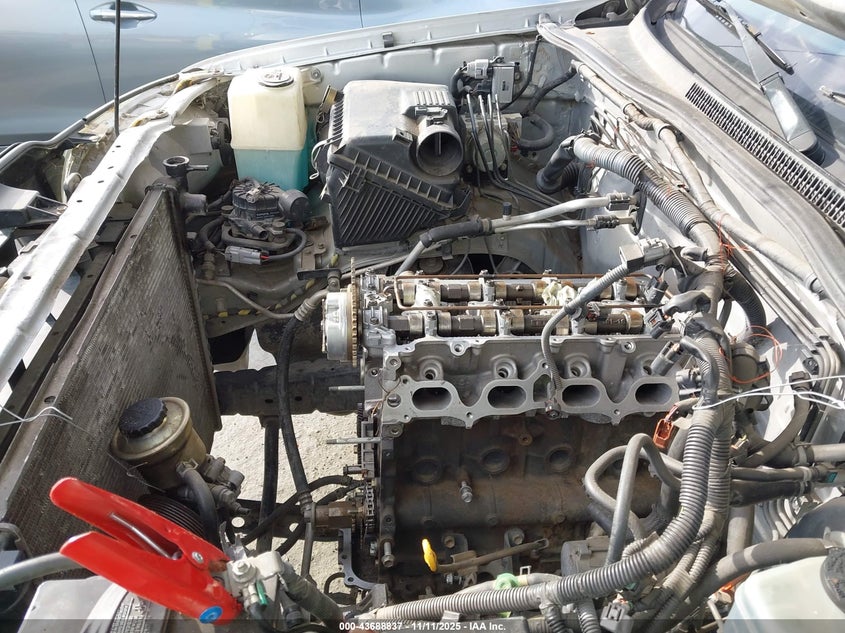 5TENX22N35Z031305 2005 TOYOTA TACOMA photo no. 6