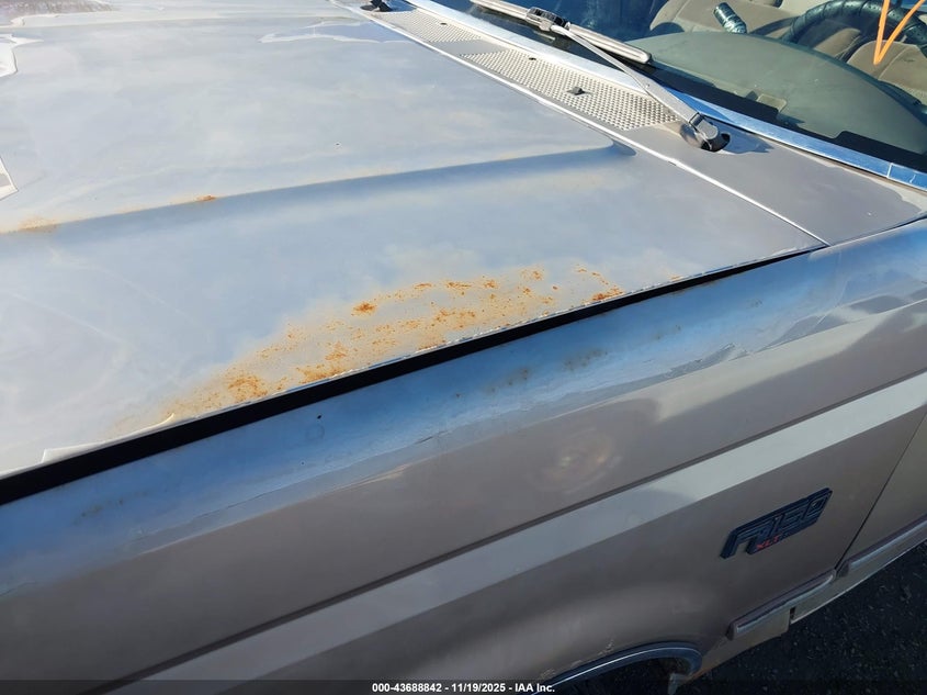 1992 Ford F150 VIN: 1FTEX14N3NKA67989 Lot: 43688842