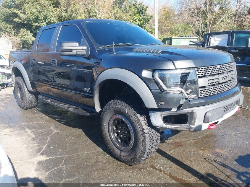 FORD F-150 SVT RAPTOR
