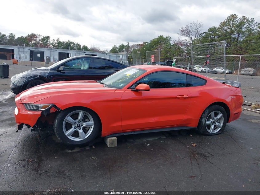 2015 Ford Mustang V6 VIN: 1FA6P8AM8F5391647 Lot: 43689629