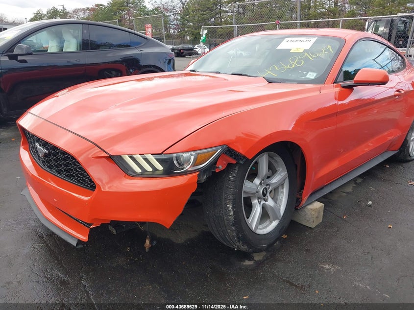2015 Ford Mustang V6 VIN: 1FA6P8AM8F5391647 Lot: 43689629