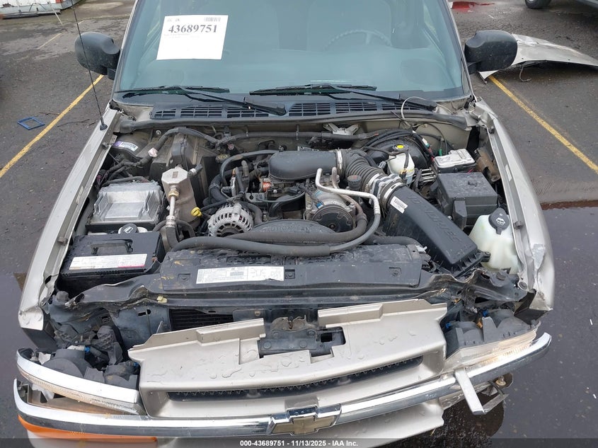 2002 Chevrolet Blazer Ls VIN: 1GNDT13W42K182329 Lot: 43689751