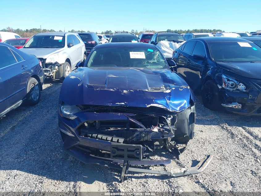 2019 Ford Mustang Ecoboost VIN: 1FA6P8THXK5178113 Lot: 43690364