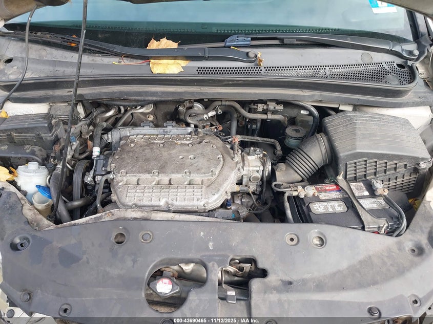 2006 Honda Odyssey Ex-L VIN: 5FNRL38796B452539 Lot: 43690465