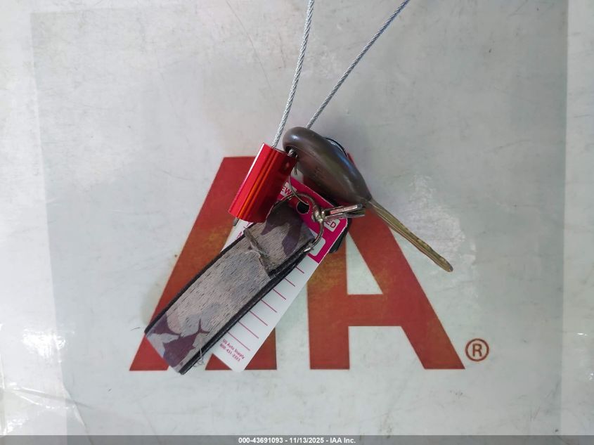 2002 Jeep Wrangler Sahara VIN: 1J4FA59S22P772061 Lot: 43691093