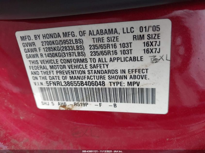 2005 Honda Odyssey Ex-L VIN: 5FNRL38655B406048 Lot: 43691121