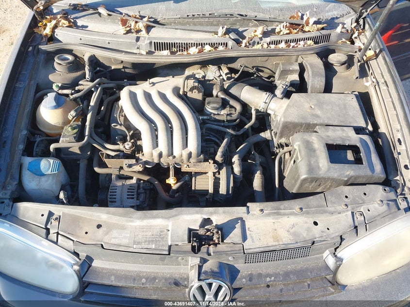 2002 Volkswagen Golf Gls 2.0L VIN: 9BWGB61J024030586 Lot: 43691407