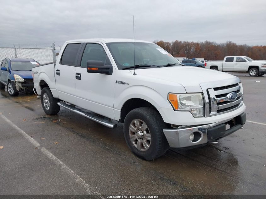 FORD F-150 XLT