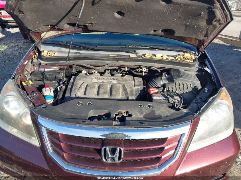 2009 Honda Odyssey Ex-L VIN: 5FNRL38779B017636 Lot: 43691794