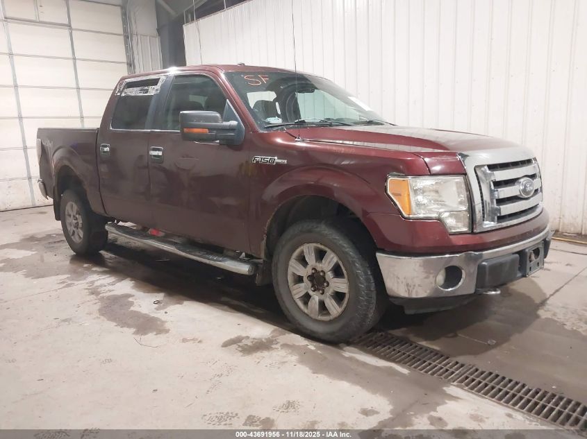 FORD F-150 FX4/HARLEY-DAVIDSON/KING RANCH/LARIAT/PLATINUM/XL/XLT