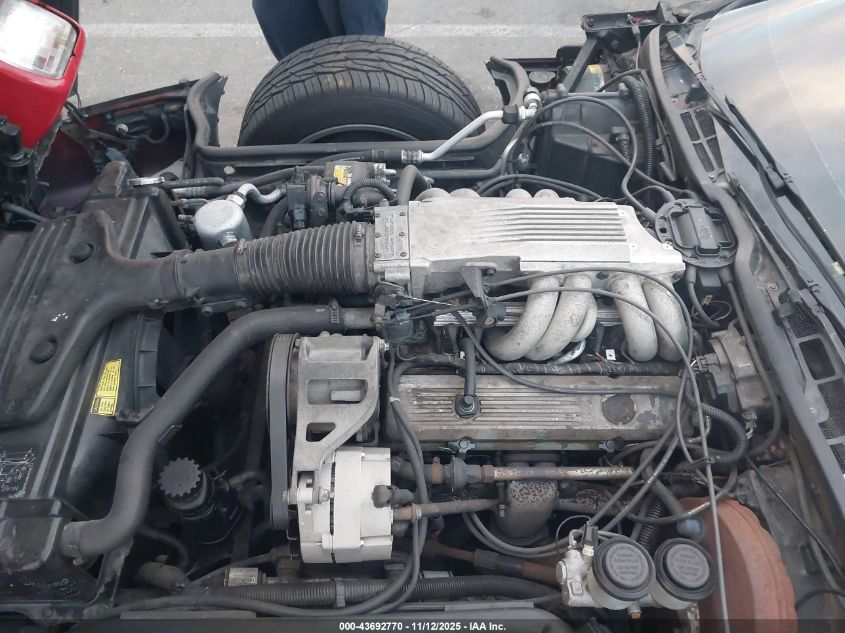 1985 Chevrolet Corvette VIN: 1G1YY0782F5133774 Lot: 43692770