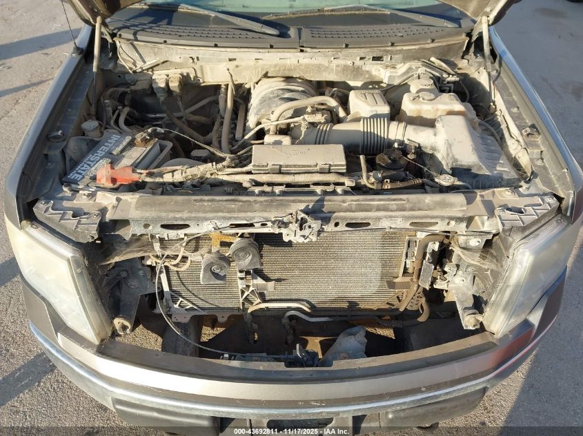 2010 Ford F-150 Xl/Xlt VIN: 1FTEW1E82AFB33611 Lot: 43692811