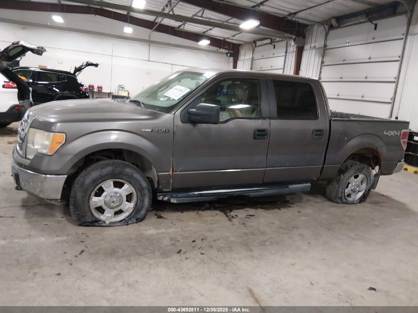 2010 Ford F-150 Xl/Xlt VIN: 1FTEW1E82AFB33611 Lot: 43692811