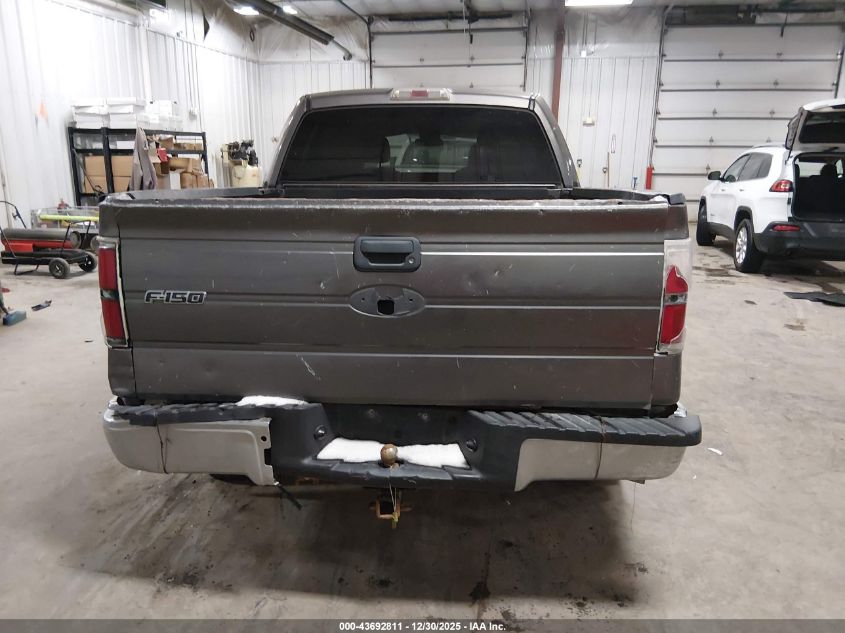 2010 Ford F-150 Xl/Xlt VIN: 1FTEW1E82AFB33611 Lot: 43692811