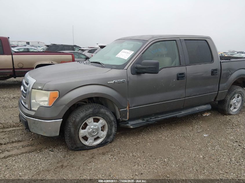 2010 Ford F-150 Xl/Xlt VIN: 1FTEW1E82AFB33611 Lot: 43692811