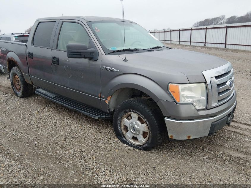 2010 Ford F-150 Xl/Xlt VIN: 1FTEW1E82AFB33611 Lot: 43692811