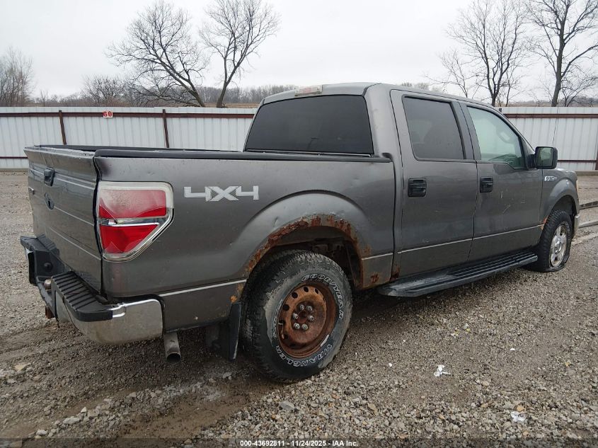 2010 Ford F-150 Xl/Xlt VIN: 1FTEW1E82AFB33611 Lot: 43692811