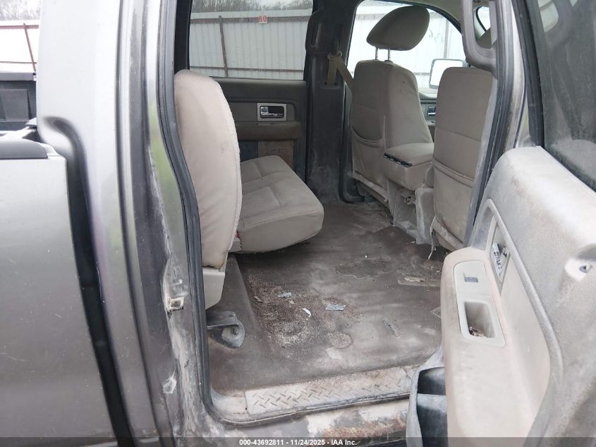 2010 Ford F-150 Xl/Xlt VIN: 1FTEW1E82AFB33611 Lot: 43692811