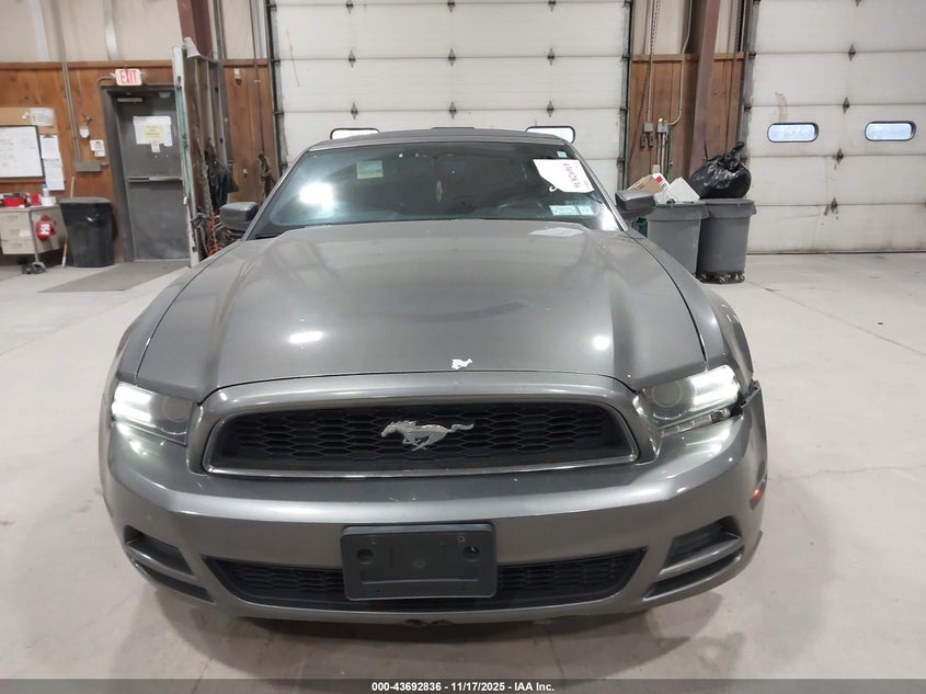 2013 Ford Mustang V6 Premium VIN: 1ZVBP8EM0D5250164 Lot: 43692836