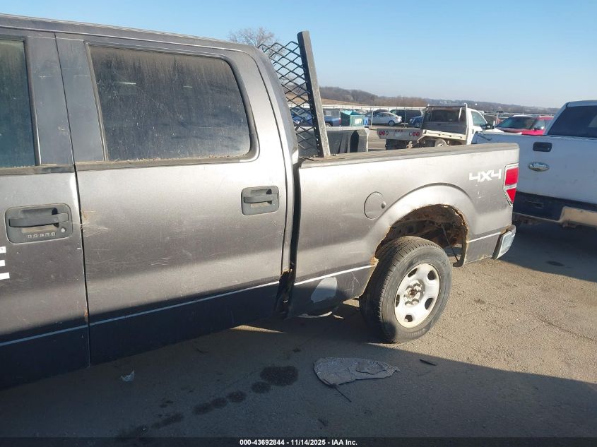 2009 Ford F-150 Xlt VIN: 1FTPW14V59FA87641 Lot: 43692844