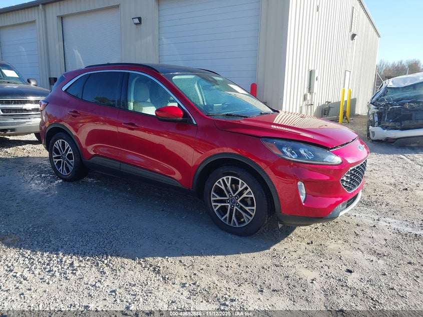 FORD ESCAPE SEL