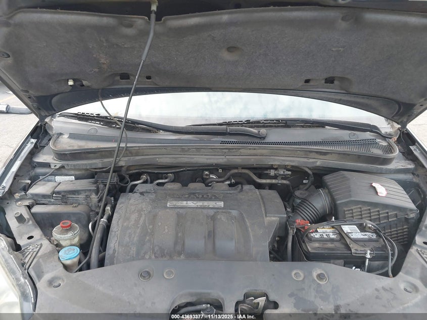 2005 Honda Odyssey Ex-L VIN: 5FNRL38775B110411 Lot: 43693377