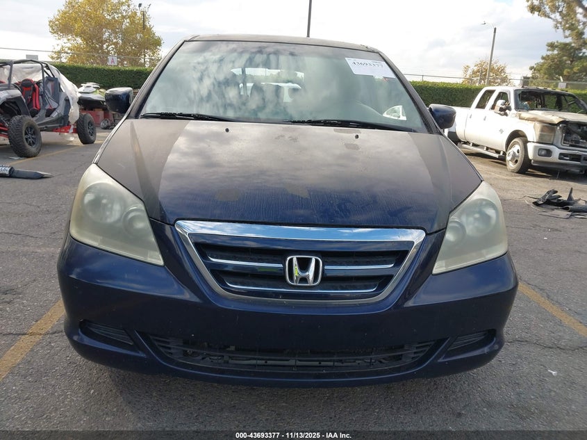 2005 Honda Odyssey Ex-L VIN: 5FNRL38775B110411 Lot: 43693377