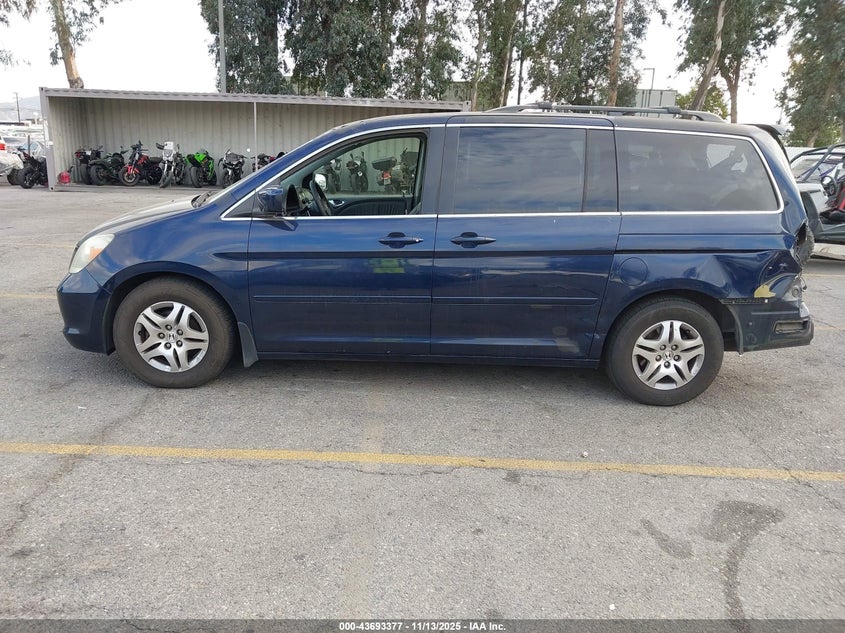 2005 Honda Odyssey Ex-L VIN: 5FNRL38775B110411 Lot: 43693377