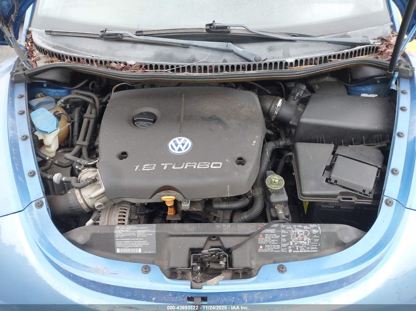 2001 Volkswagen New Beetle Glx VIN: 3VWDD21C51M401288 Lot: 43693522