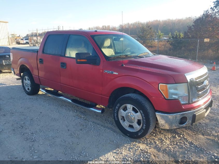 FORD F-150 FX2 SPORT/HARLEY-DAVIDSON/KING RANCH/LARIAT/PLATINUM/XL/XLT