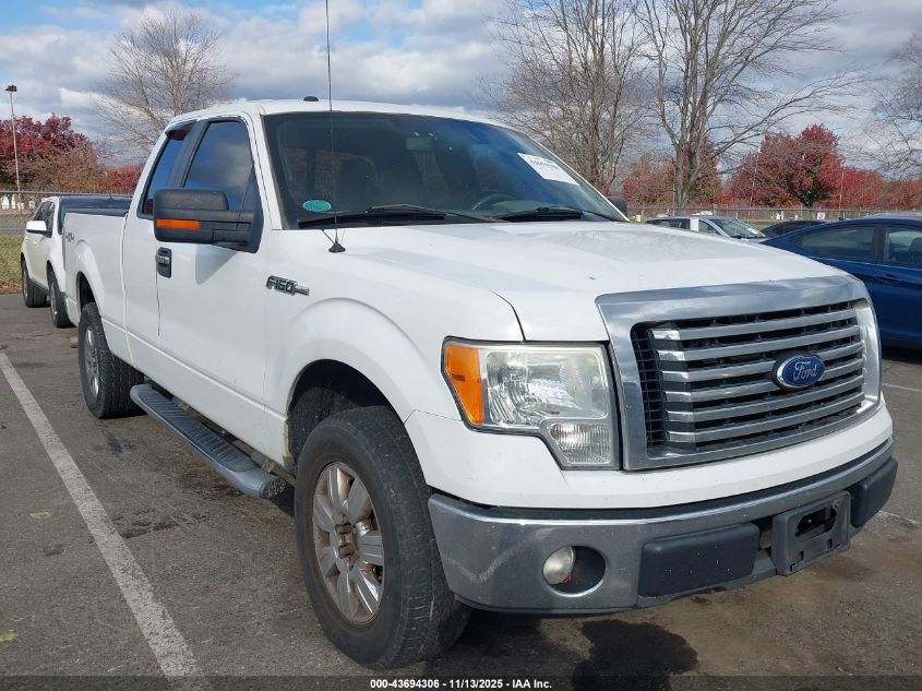FORD F-150 XLT