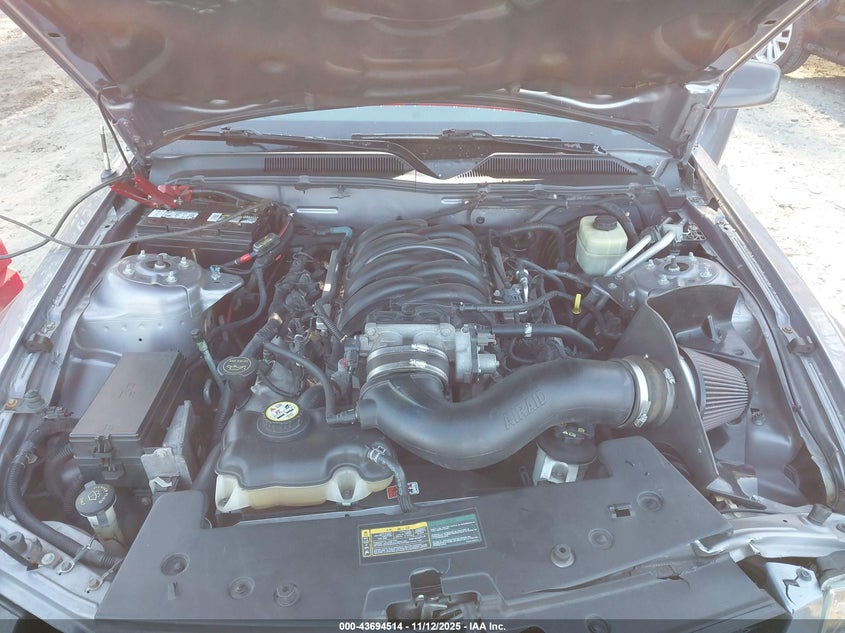 2006 Ford Mustang Gt VIN: 1ZVHT82H465117598 Lot: 43694514