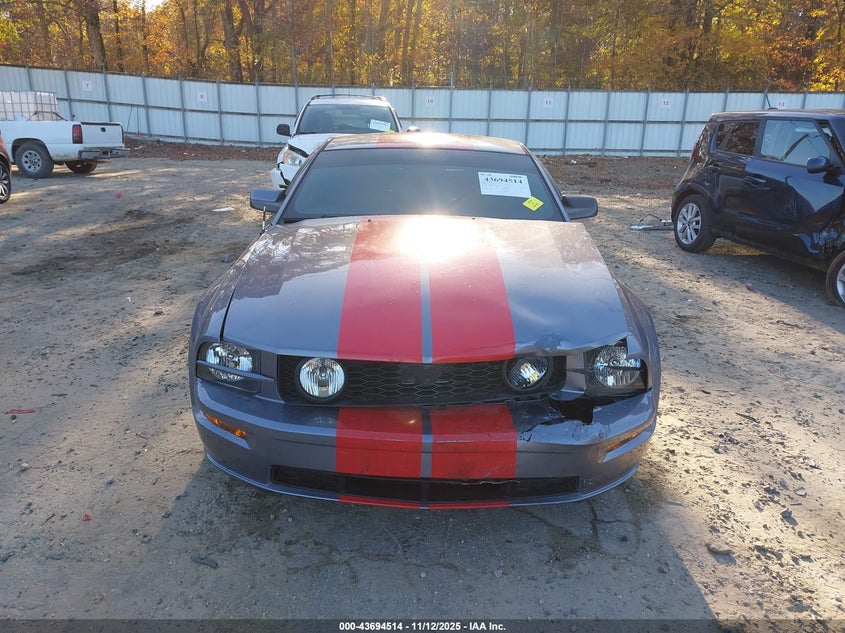 2006 Ford Mustang Gt VIN: 1ZVHT82H465117598 Lot: 43694514