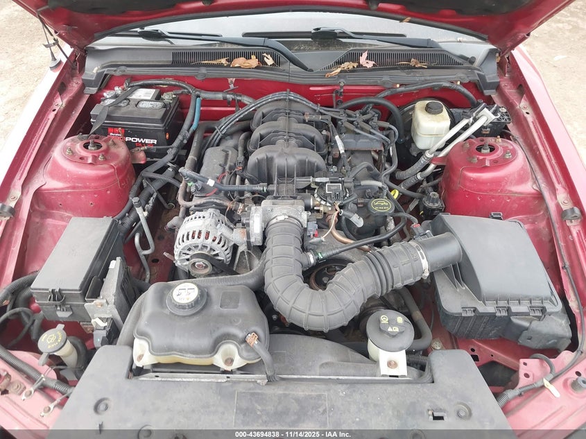 1ZVFT80N175246674 2007 FORD MUSTANG photo no. 10