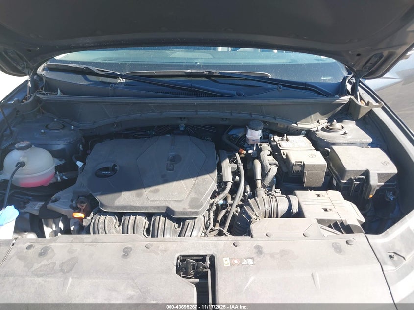 5NMJECDE2RH348621 2024 HYUNDAI TUCSON photo no. 10