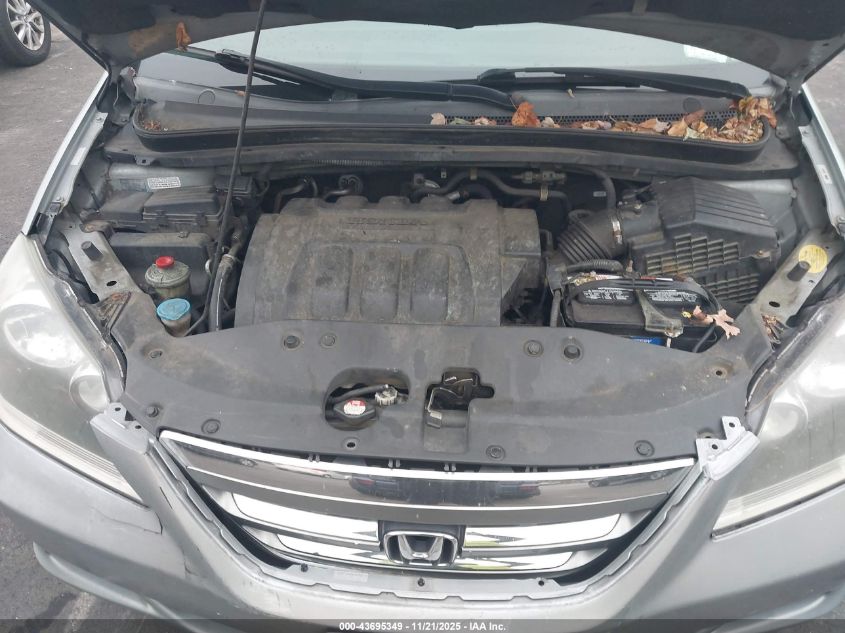 2007 Honda Odyssey Ex-L VIN: 5FNRL38737B095764 Lot: 43695349