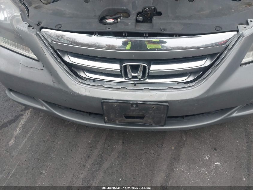 2007 Honda Odyssey Ex-L VIN: 5FNRL38737B095764 Lot: 43695349