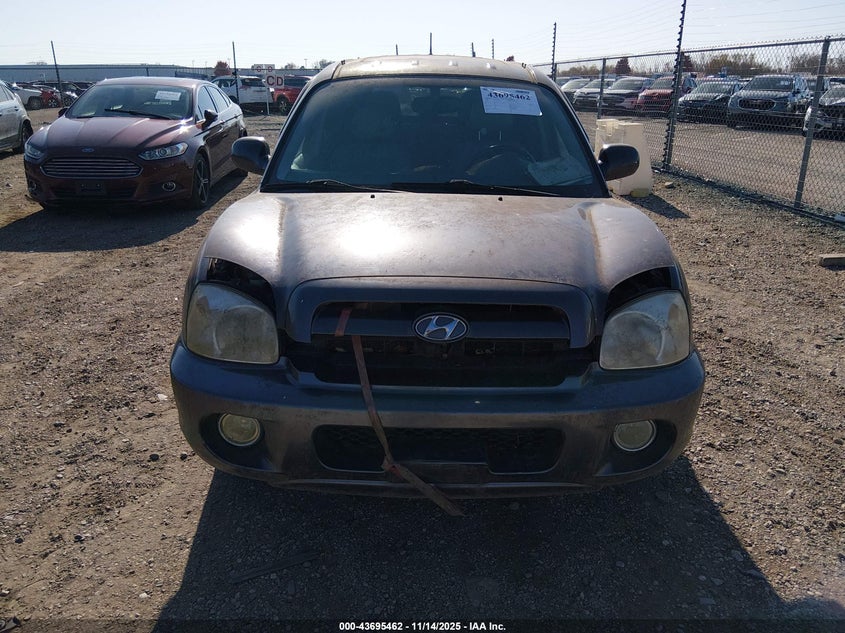 KM8SC13E16U072979 2006 HYUNDAI SANTA FE photo no. 12