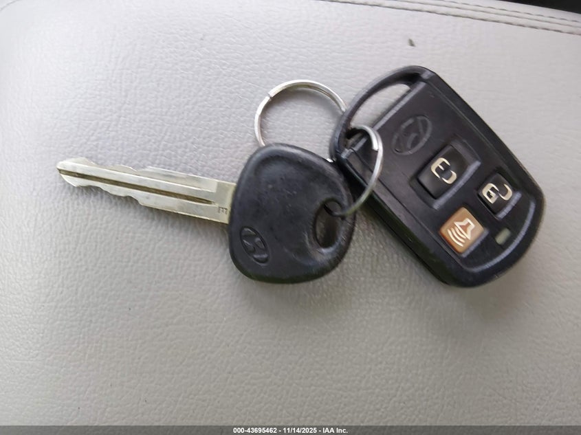 KM8SC13E16U072979 2006 HYUNDAI SANTA FE photo no. 11