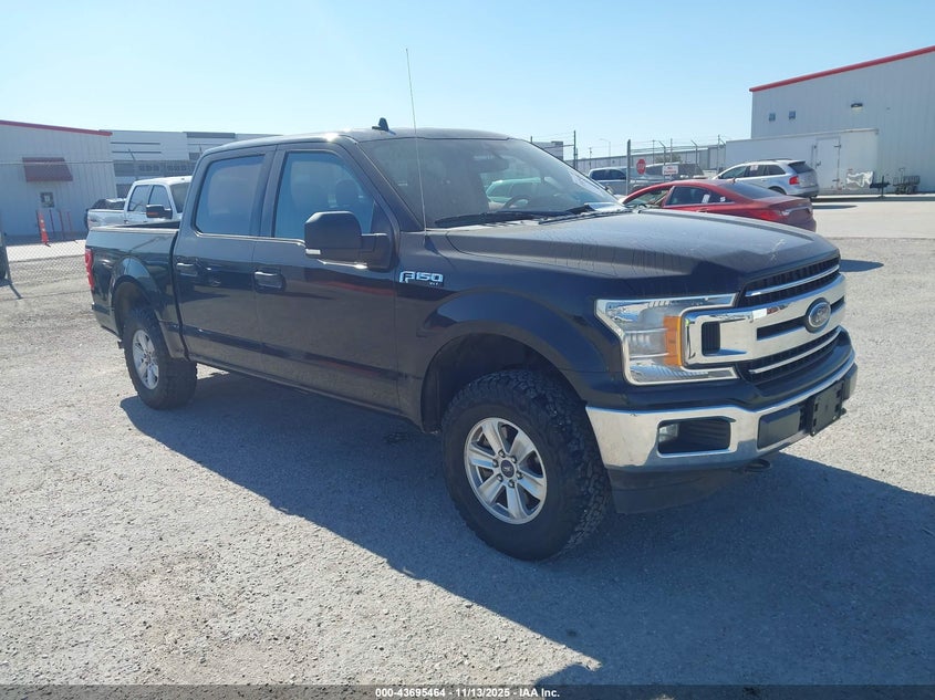2019 FORD F-150 XLT - 1FTEW1EB8KFB47297